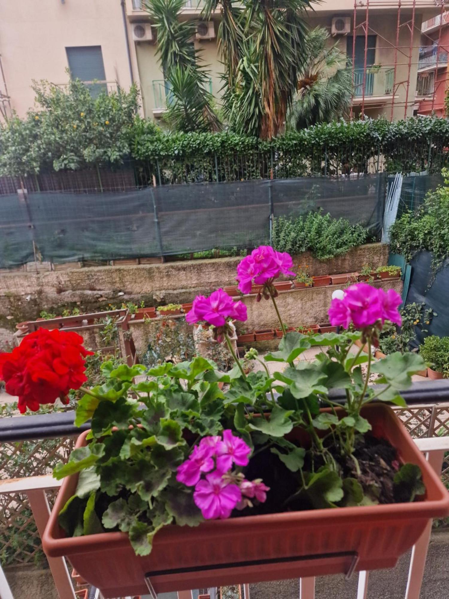 Appartement La Perla Bianca à Gênes Extérieur photo